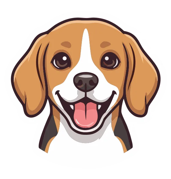 Beagle, tricolour