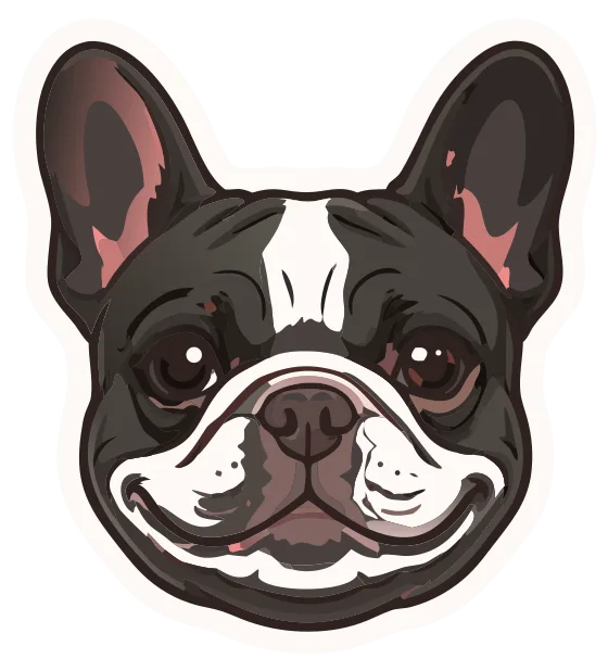 French Bulldog, black